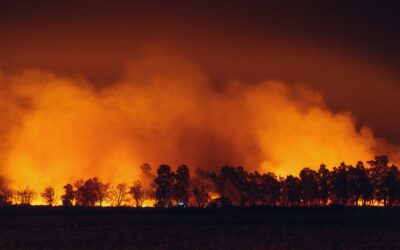 Lecture: Preparing for Wildfire in the South Willamette Valley