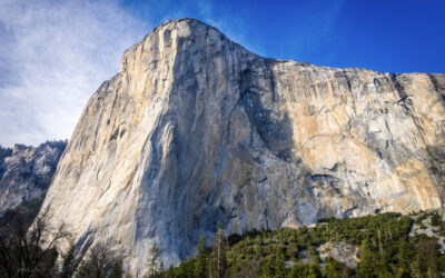 A Letter To Me From a Park: Life and Value