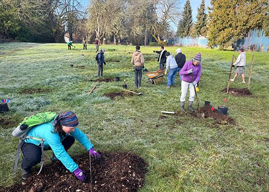 Public Service, Stewardship, and the Practice of a Land Ethic